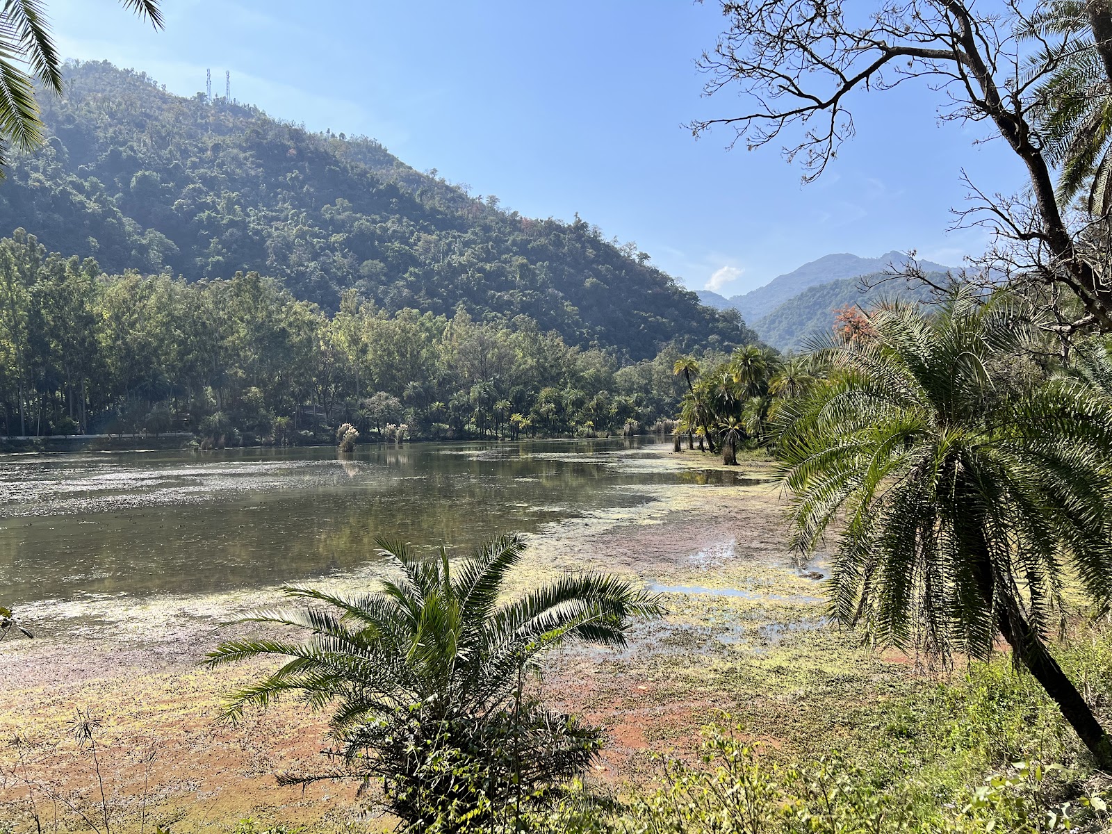 Renuka Wildlife Sanctuary