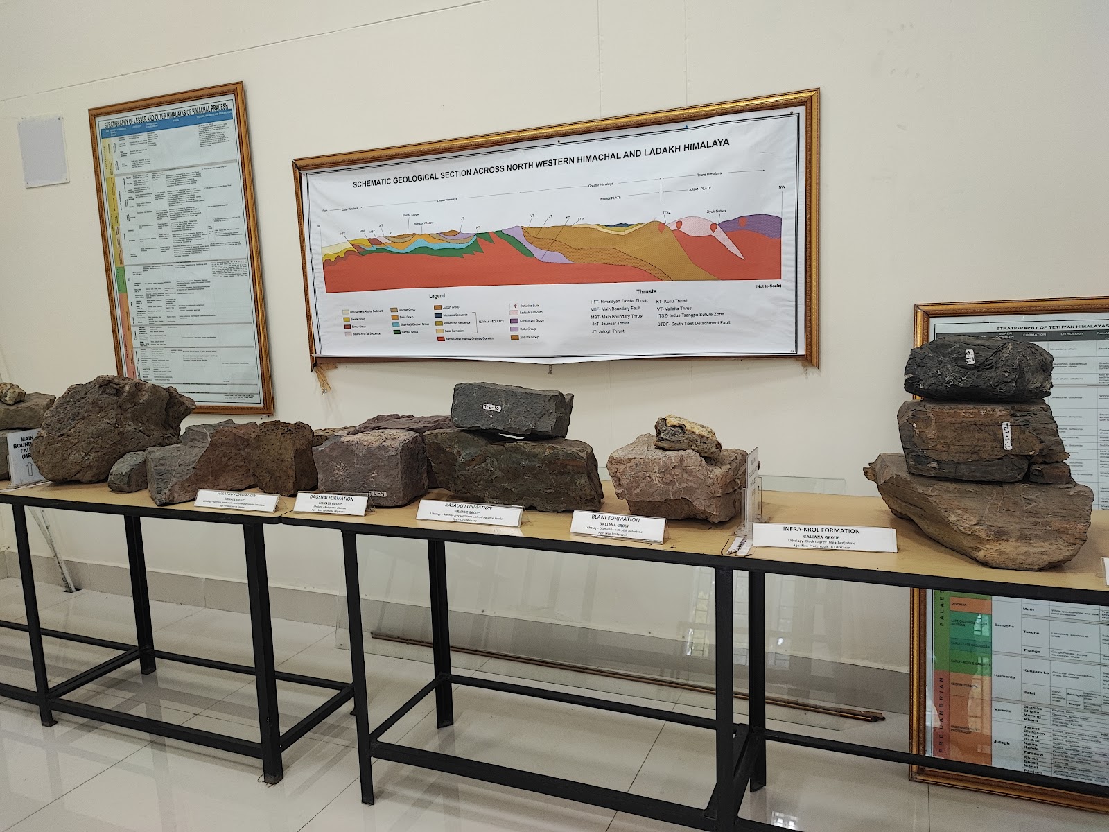 Shivalik Fossil Park