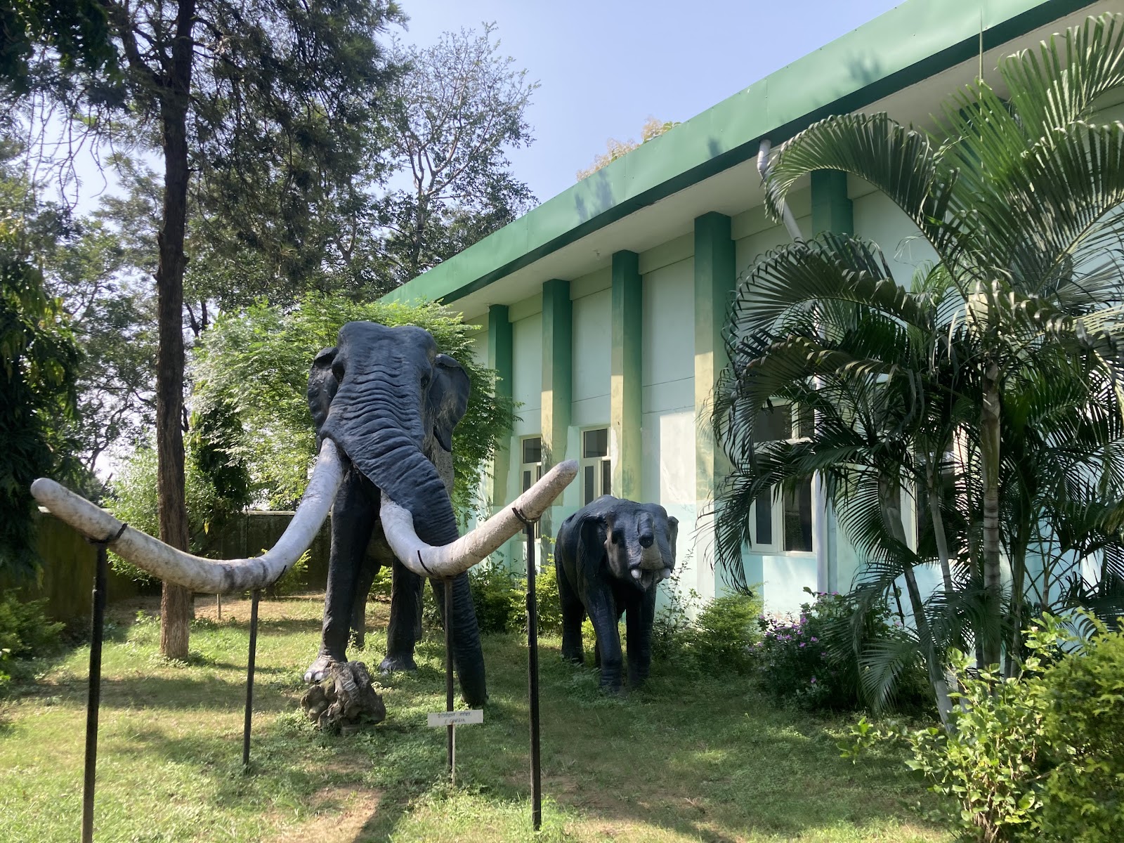 Shivalik Fossil Park