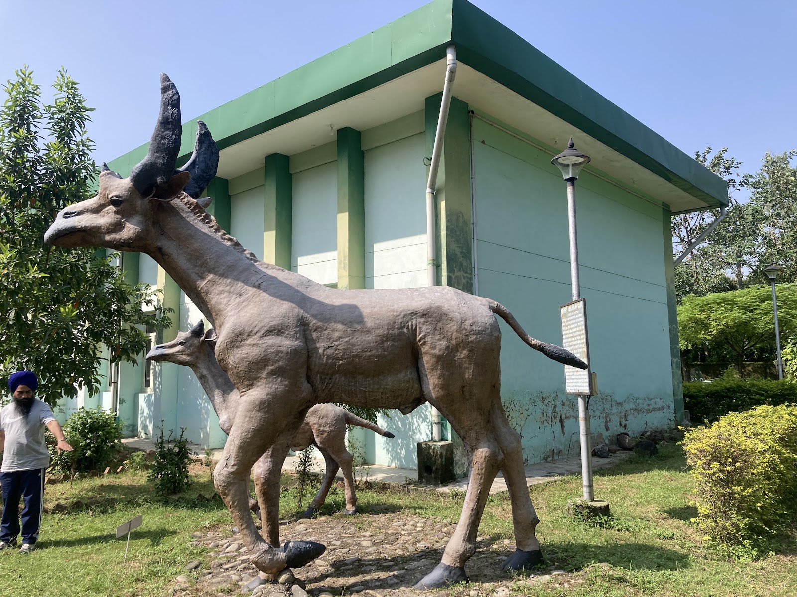 Shivalik Fossil Park