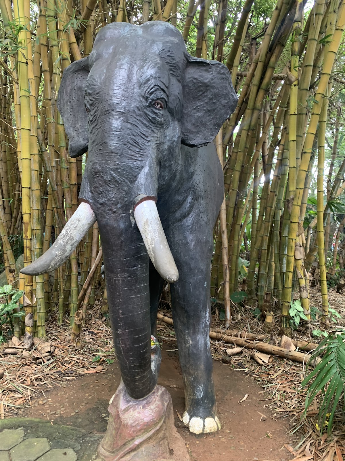 Black Thunder Theme Park