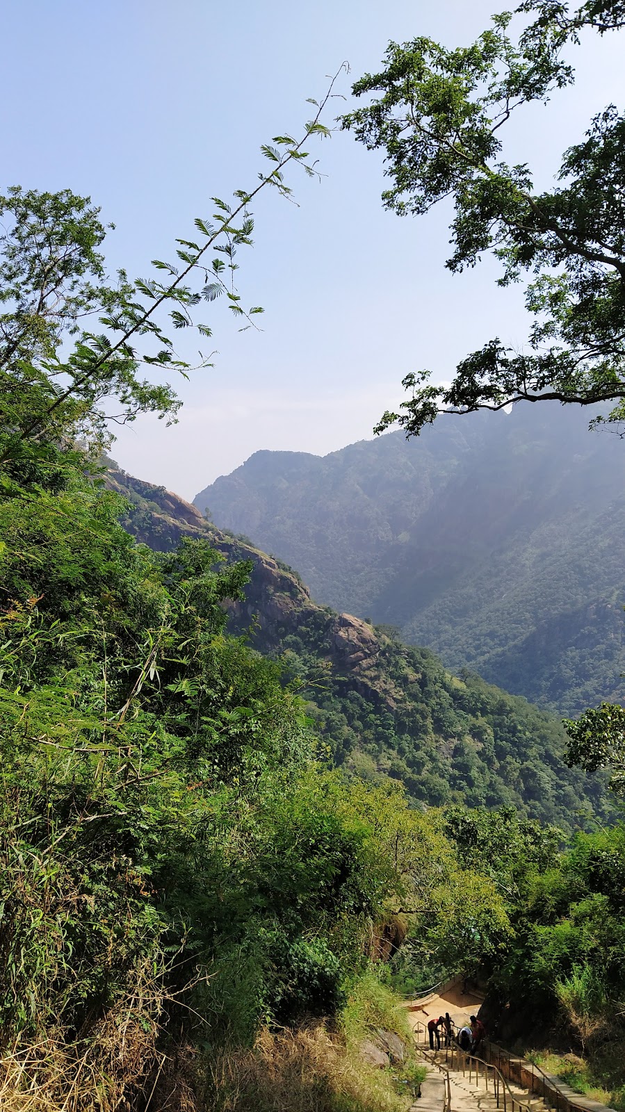 Kolli Hills