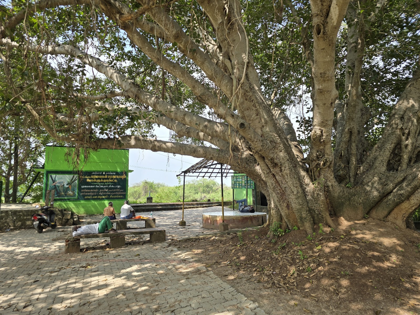 Vettangudi Bird Sanctuary