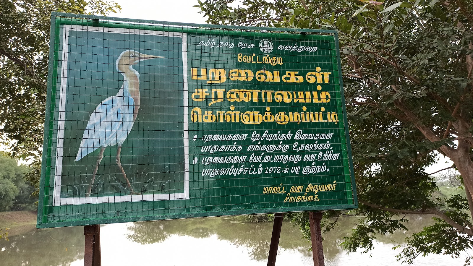 Vettangudi Bird Sanctuary