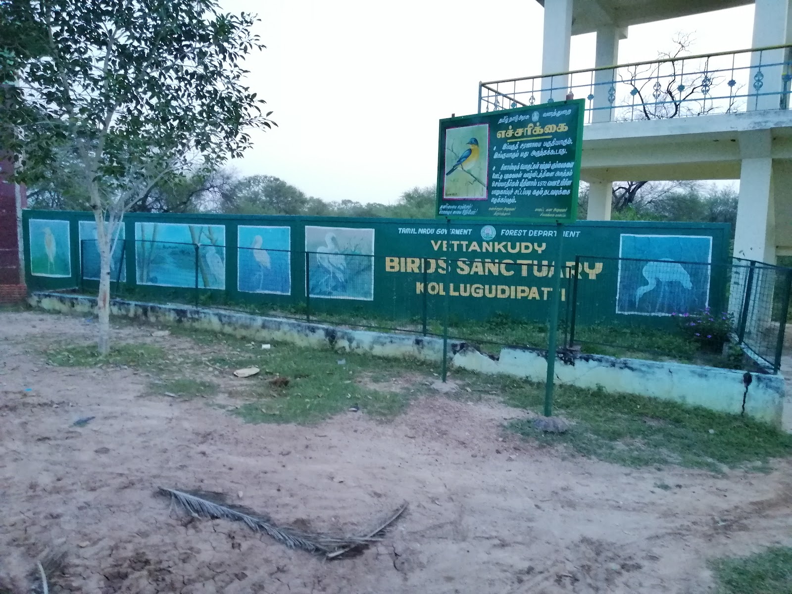 Vettangudi Bird Sanctuary