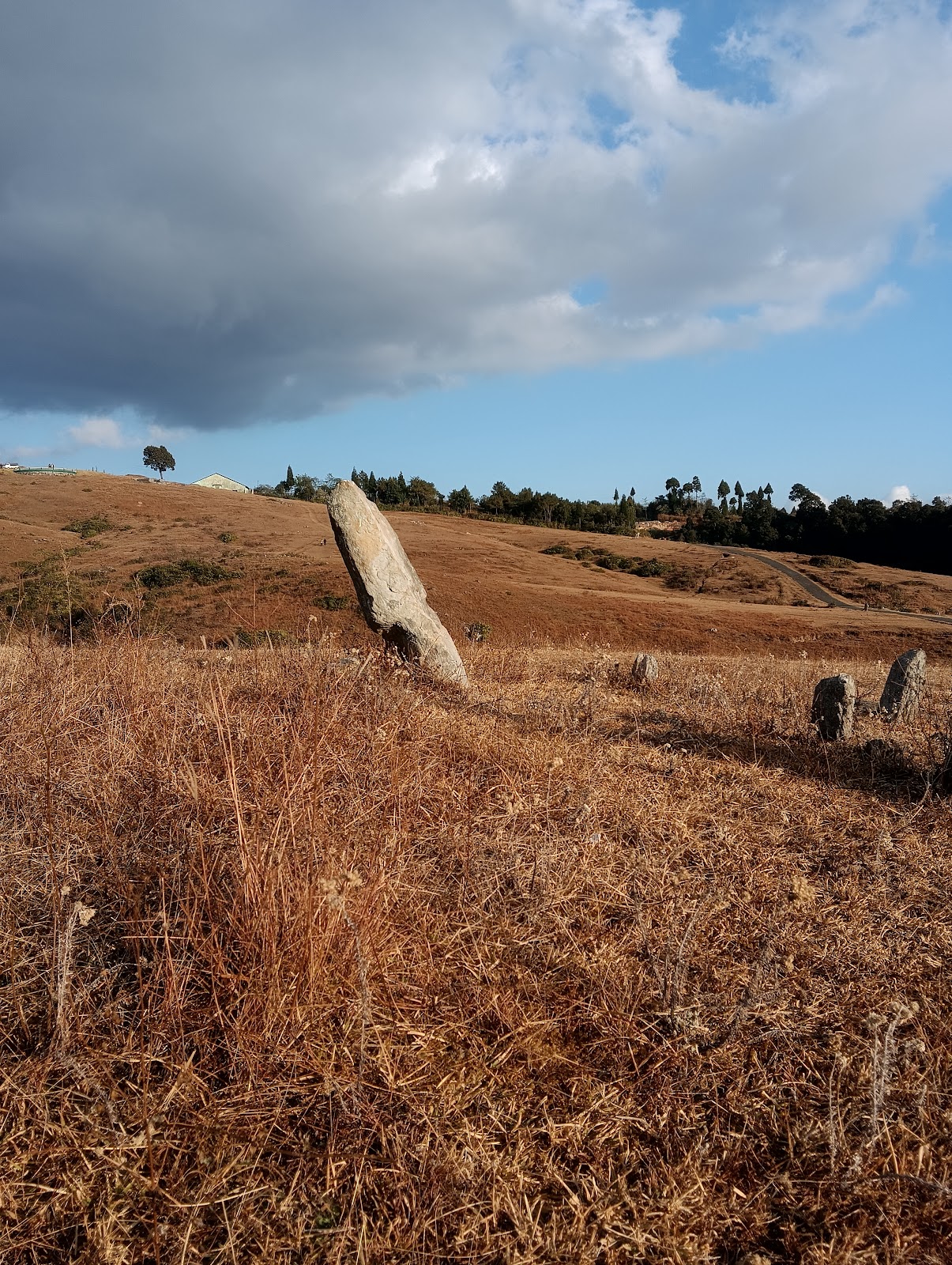 Khasi Heritage Village