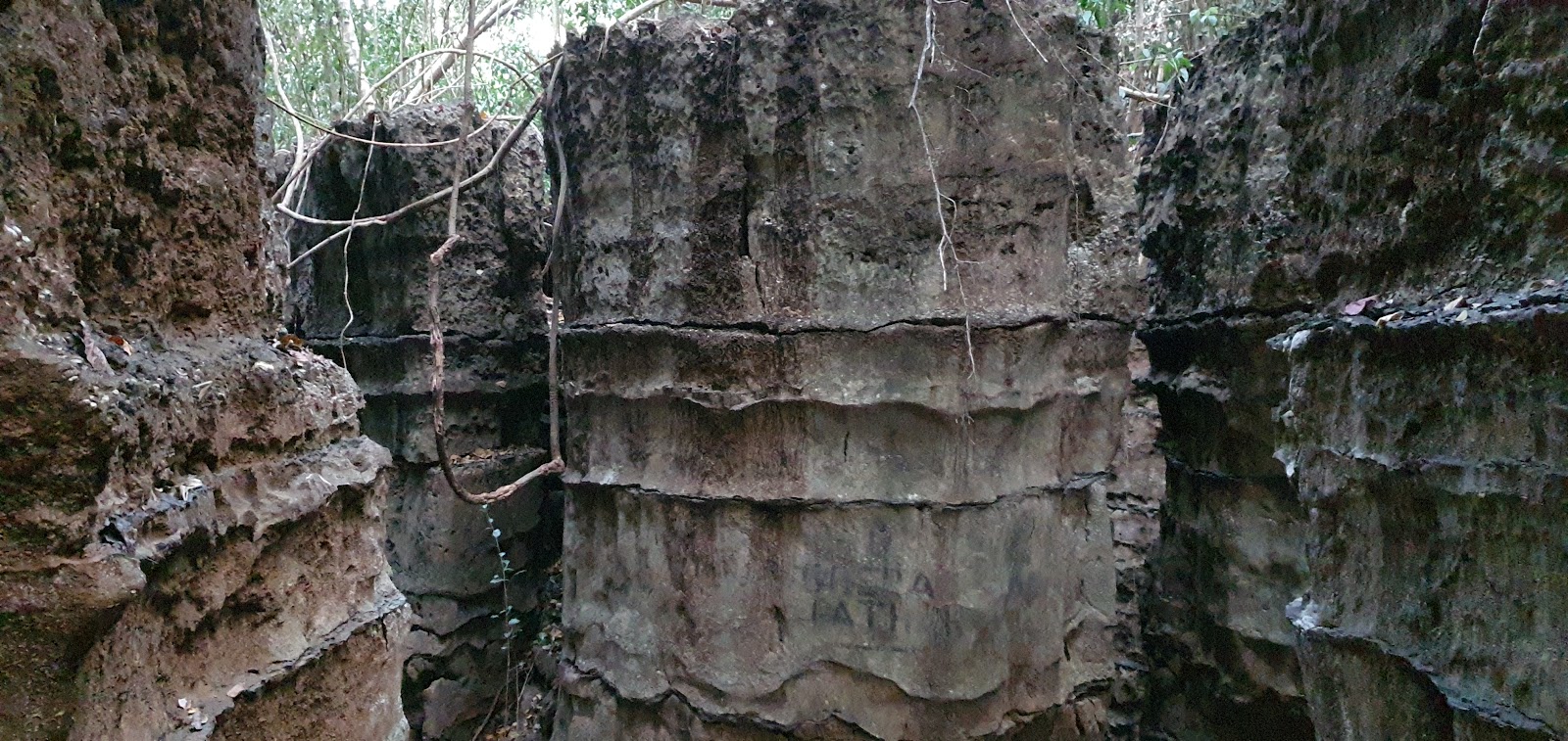 Siju Wildlife Sanctuary