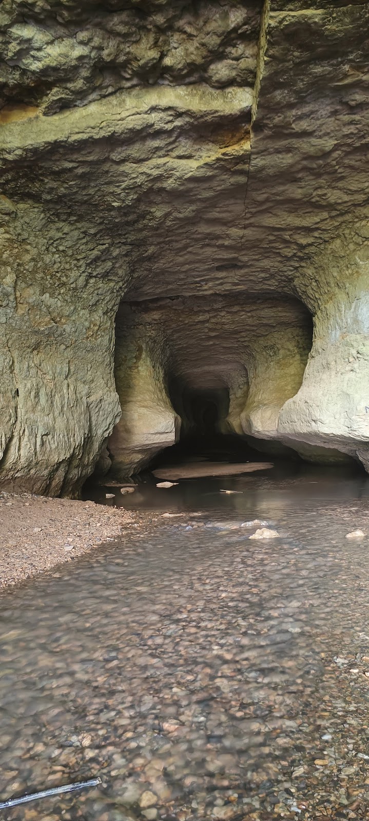 Siju Wildlife Sanctuary