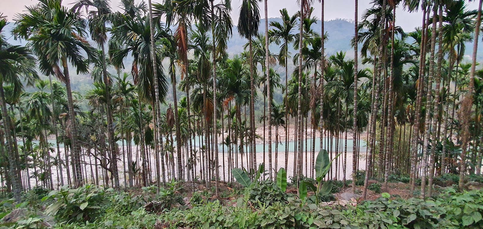 Siju Wildlife Sanctuary