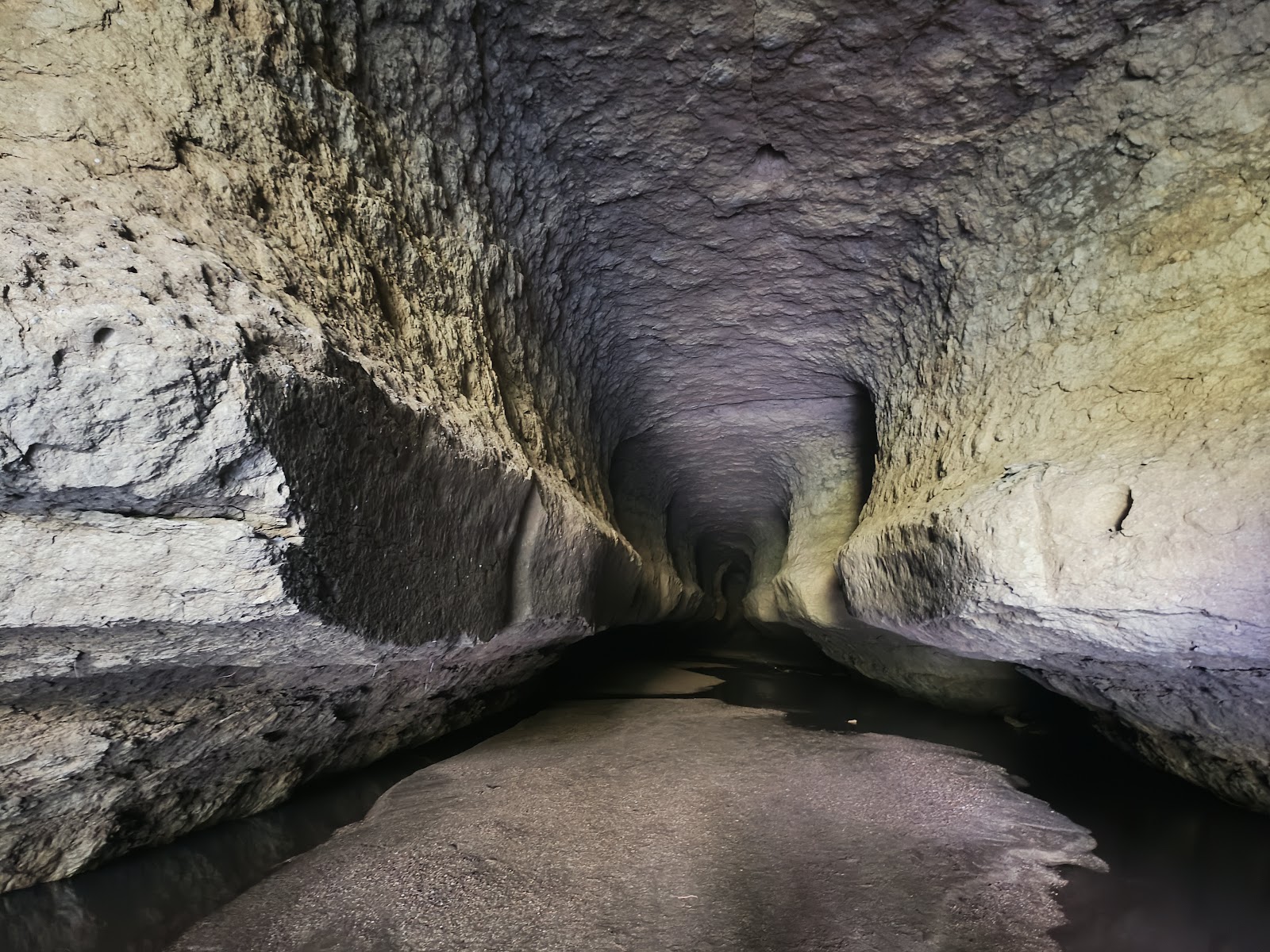 Siju Wildlife Sanctuary