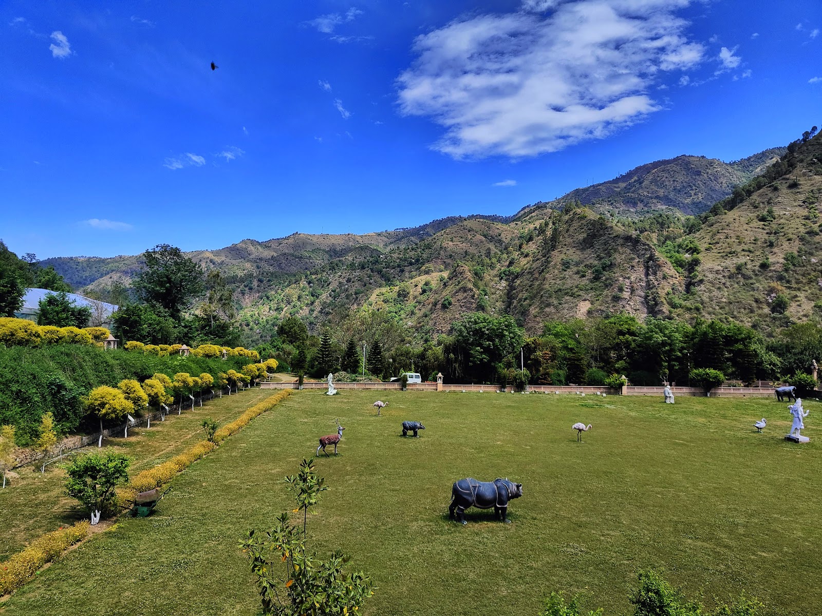Ashwani Khad River Picnic Spot