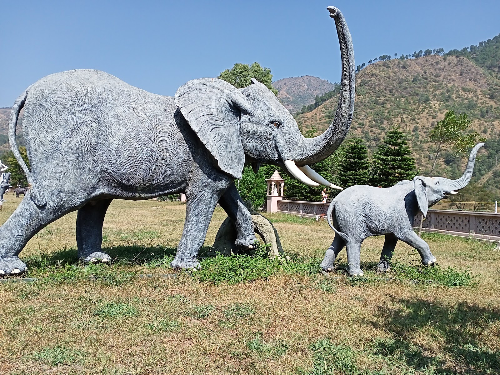 Ashwani Khad River Picnic Spot