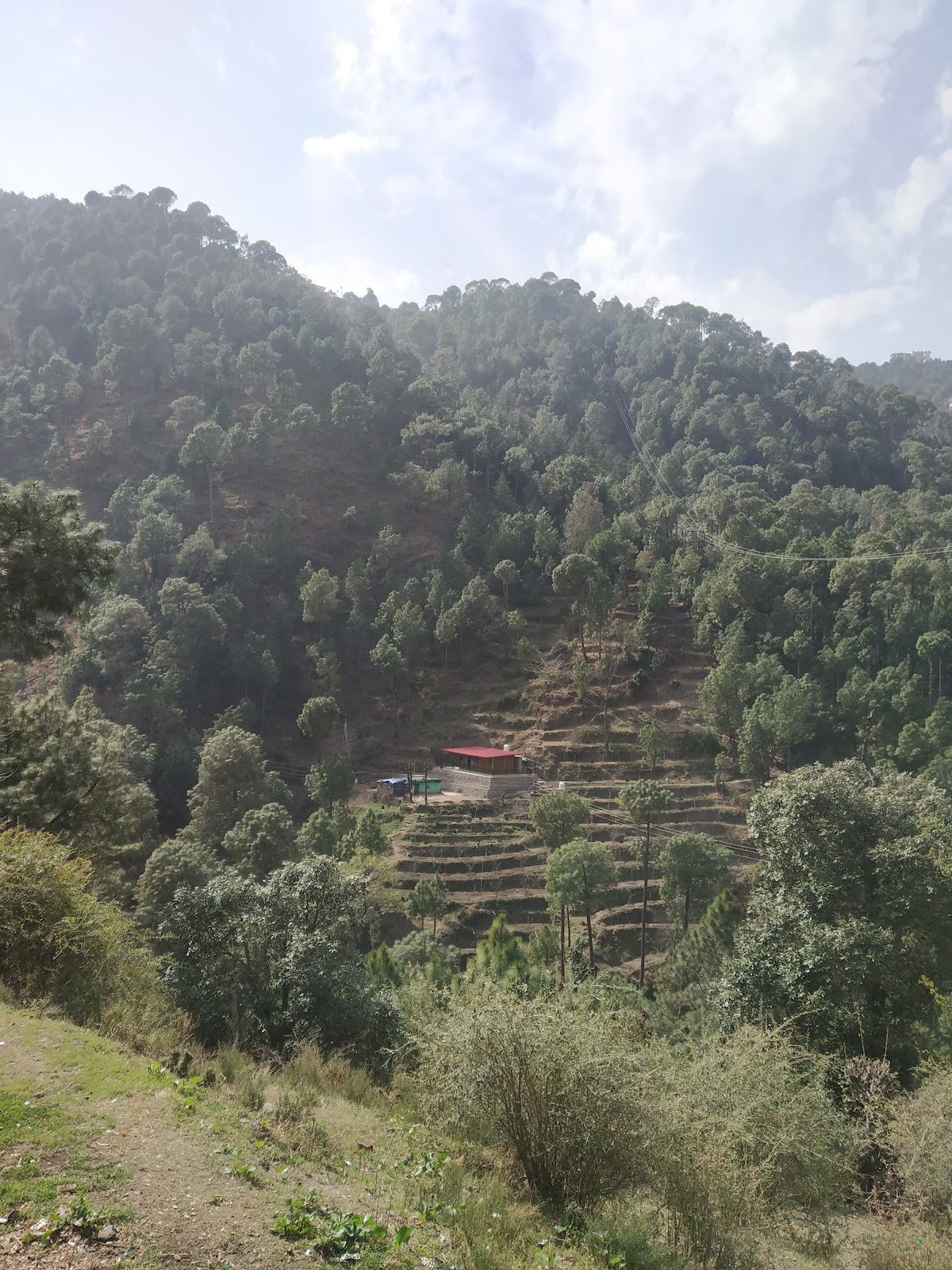 Barog Railway Station and Tunnel