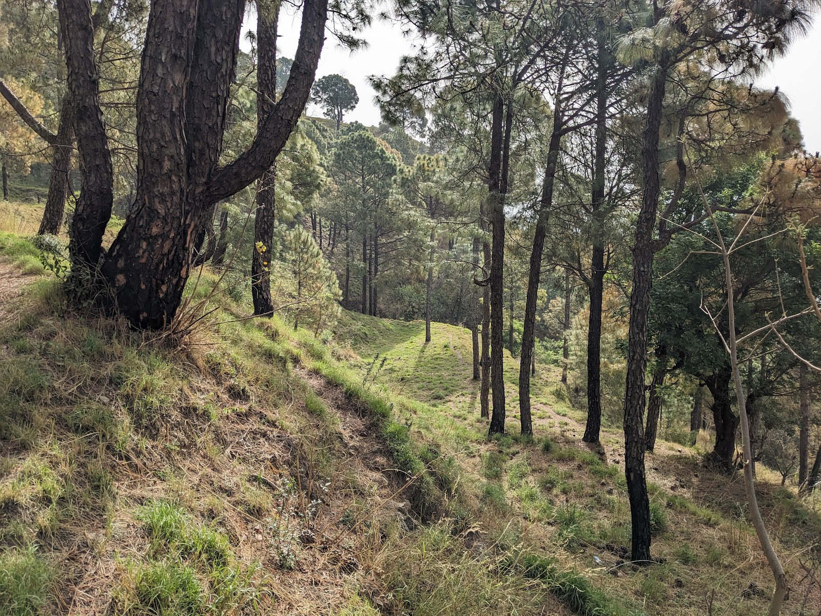 Karol Tibba Viewpoint