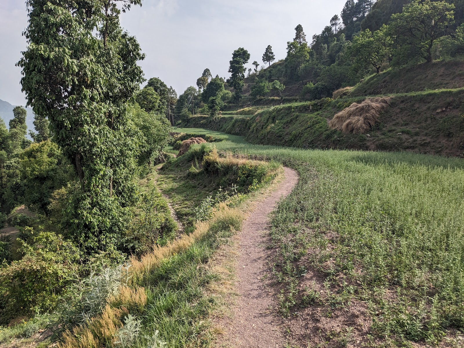 Karol Tibba Viewpoint
