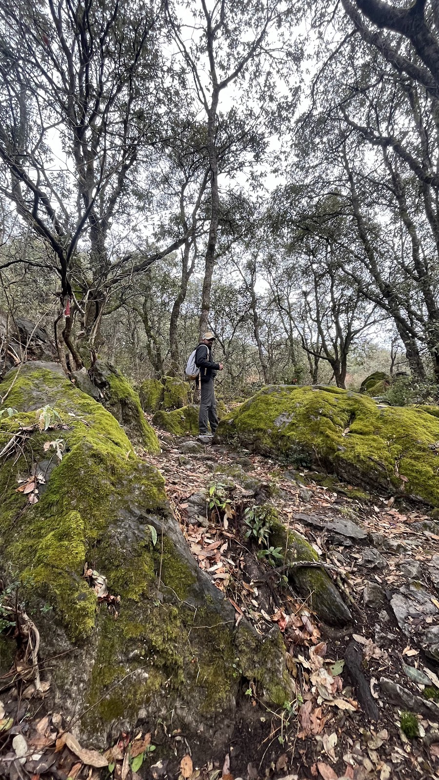 Karol Tibba Viewpoint