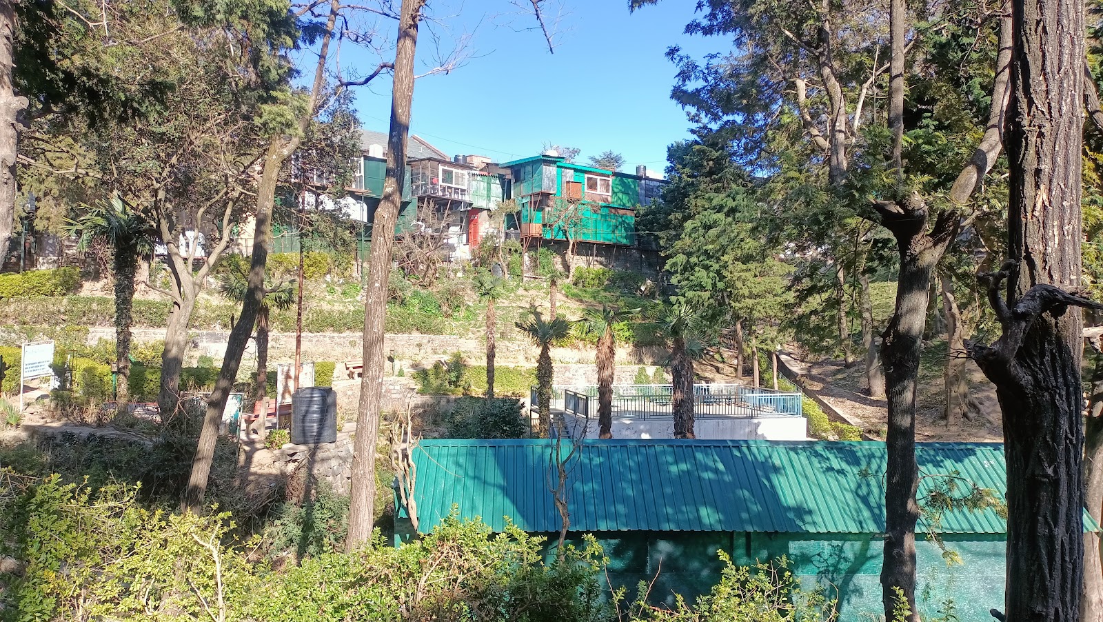 Kasauli