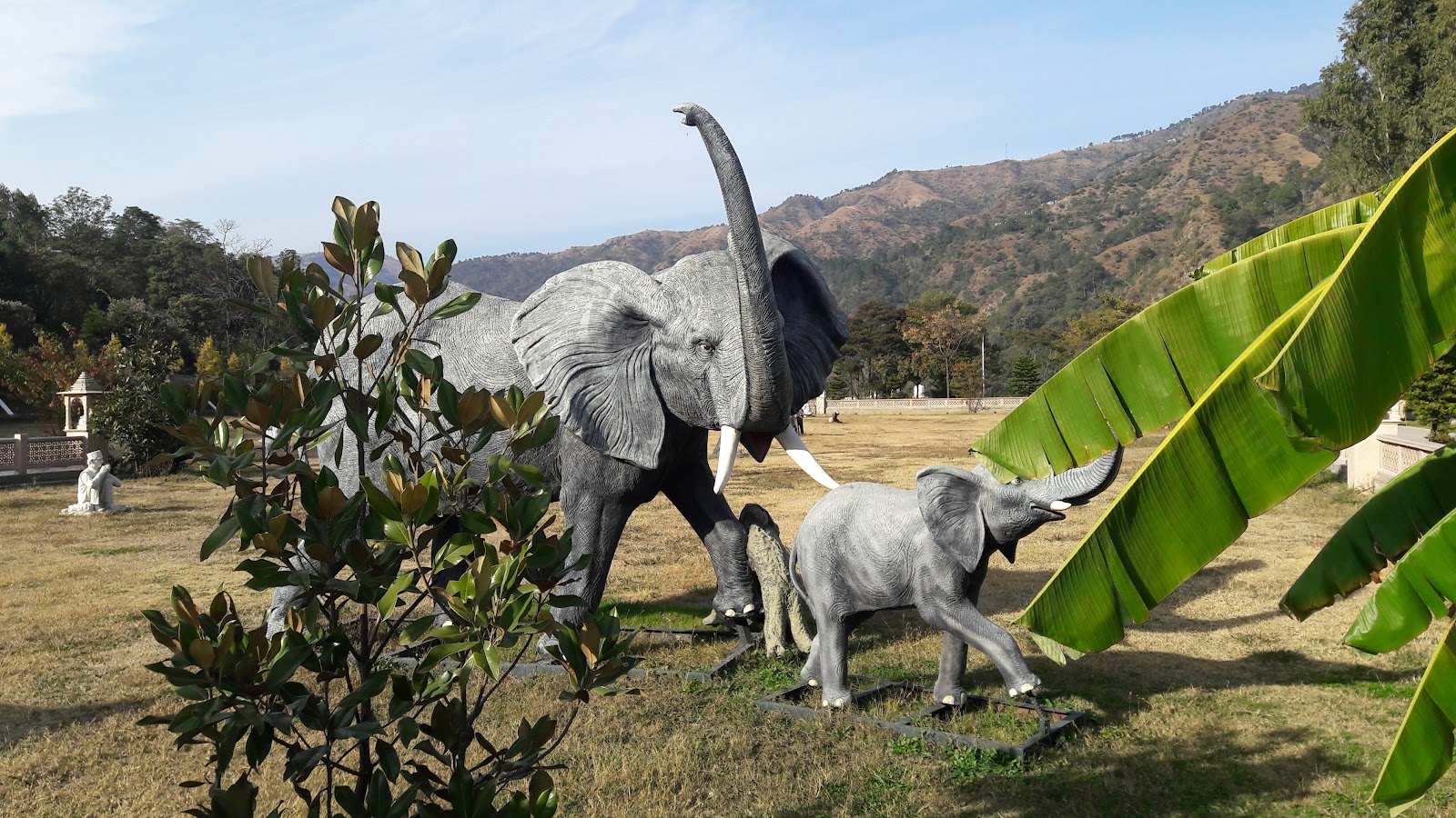 Mohan Shakti Heritage Park