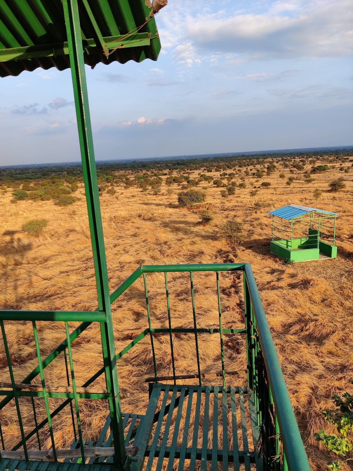 Nannaj Great Indian Bustard Sanctuary