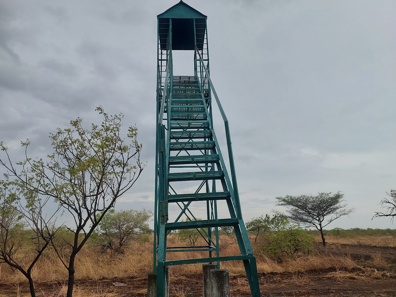 Nannaj Great Indian Bustard Sanctuary