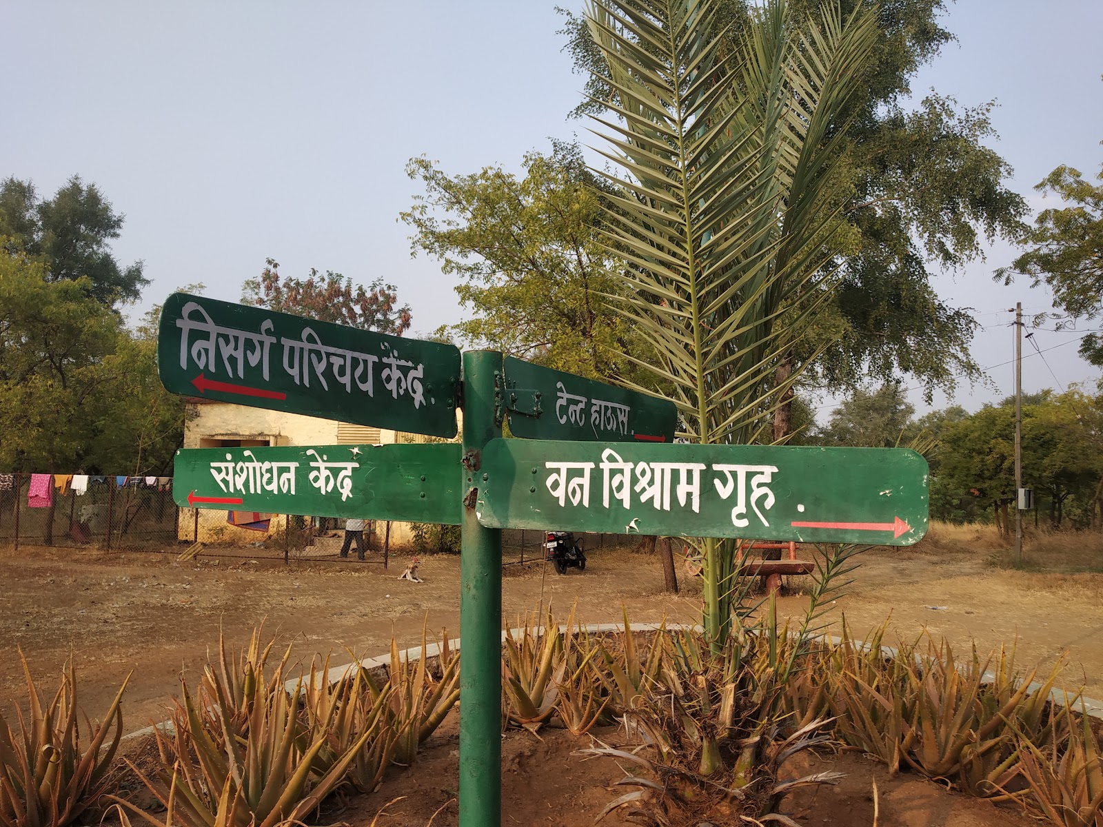 Nannaj Great Indian Bustard Sanctuary