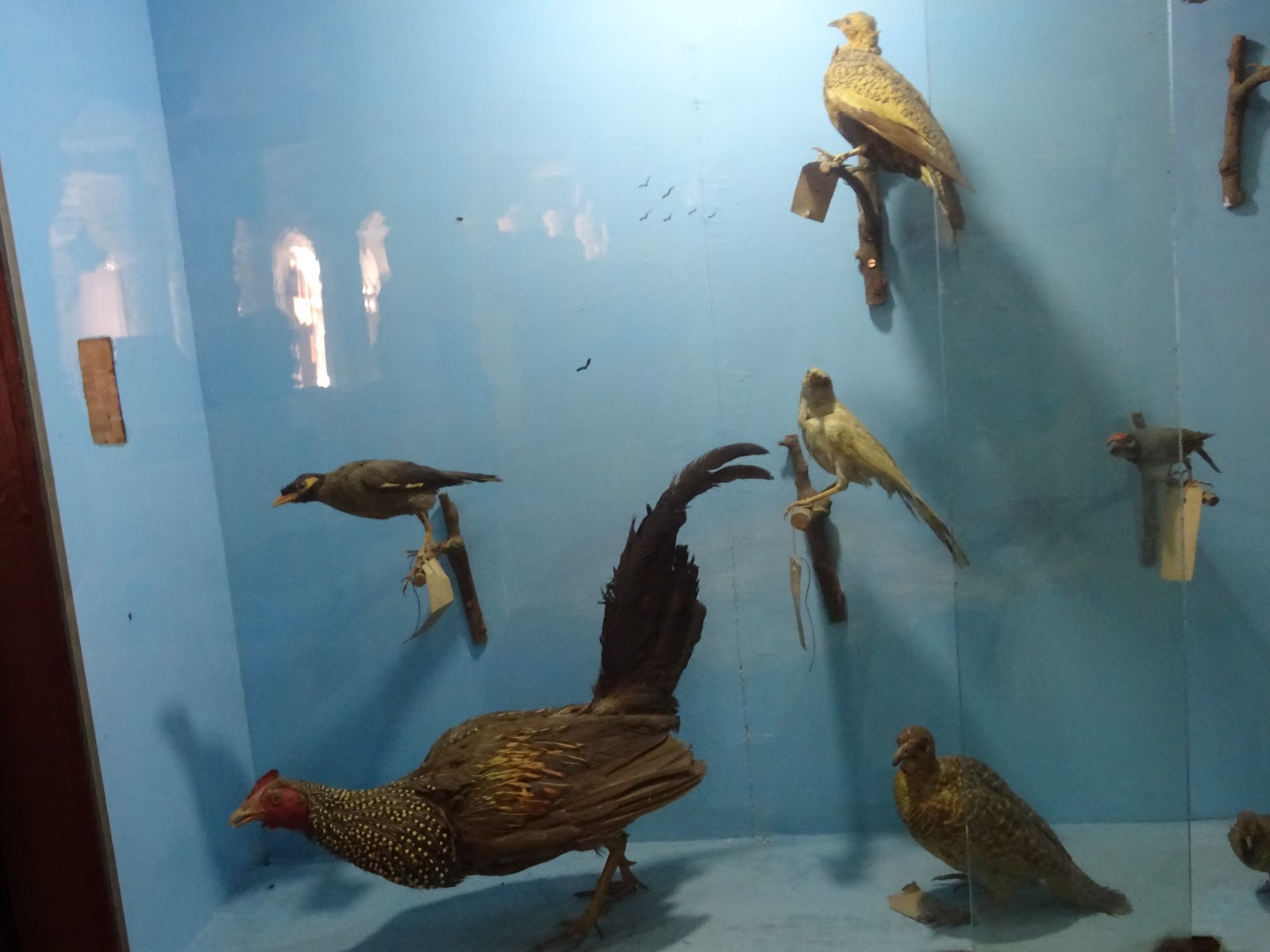 Prabhas Patan Museum