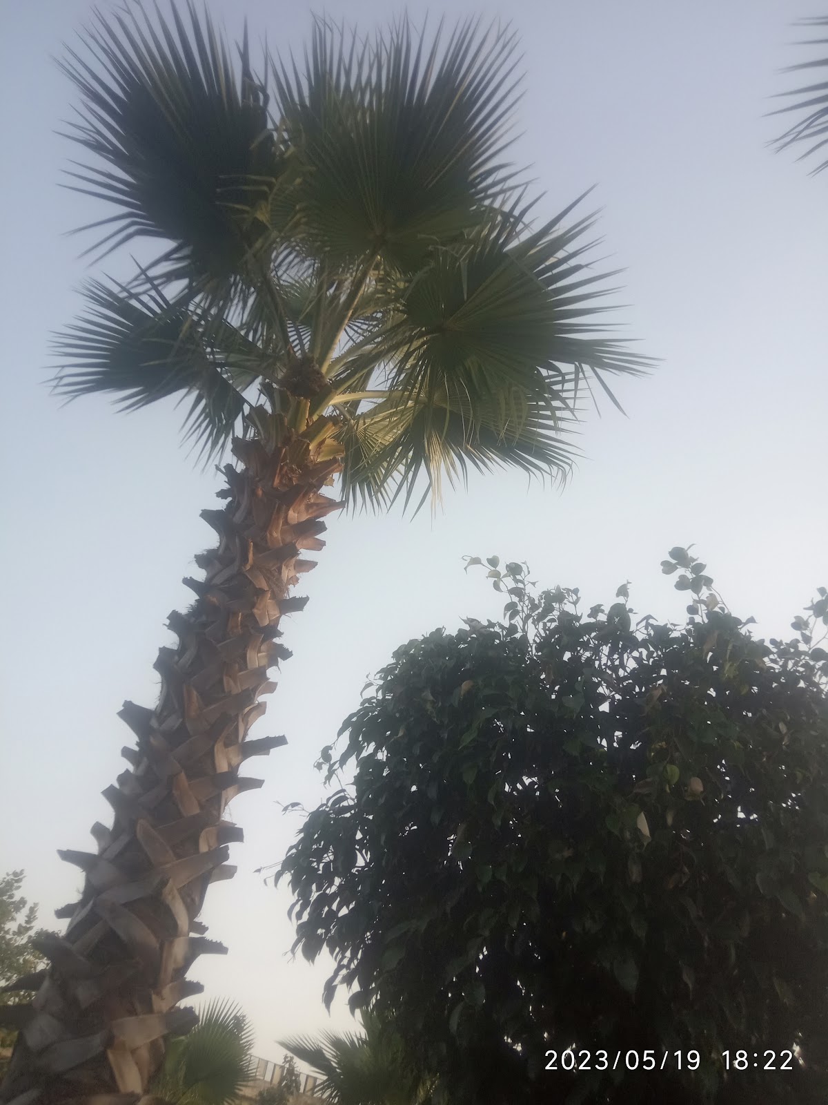 Sonepat Heritage Park