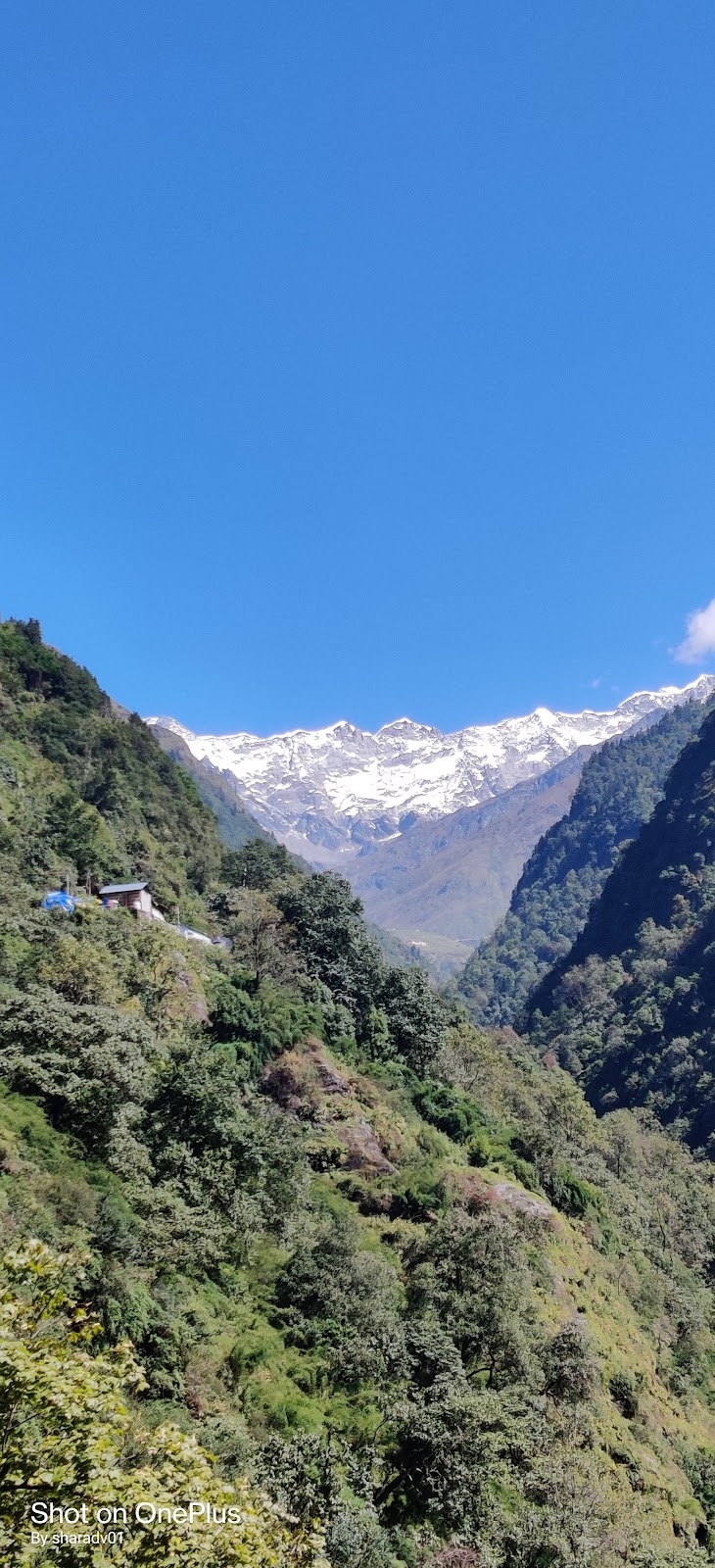 Kedarnath Wildlife Sanctuary