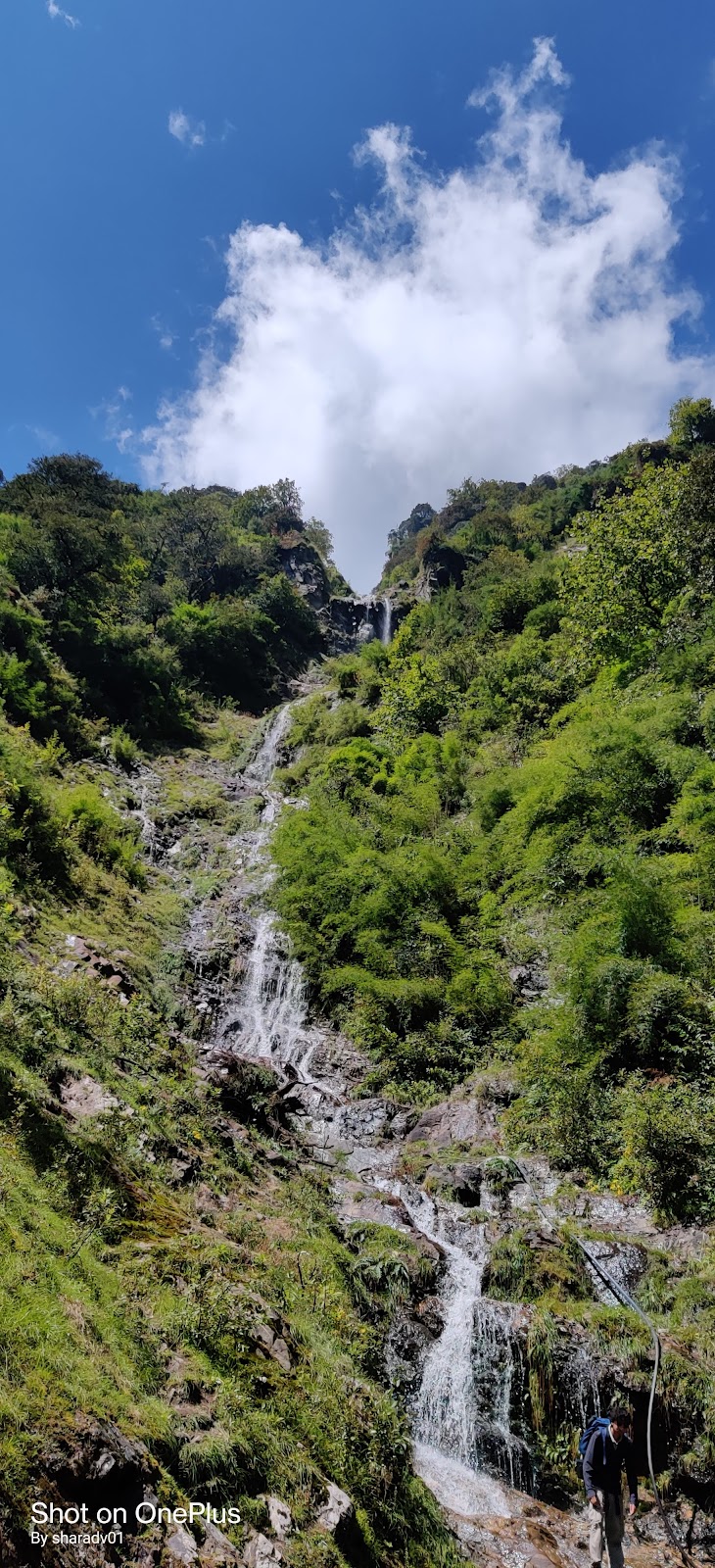 Kedarnath Wildlife Sanctuary