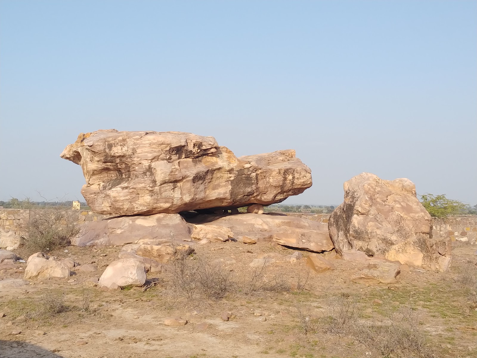 Wildlife Observation Tower