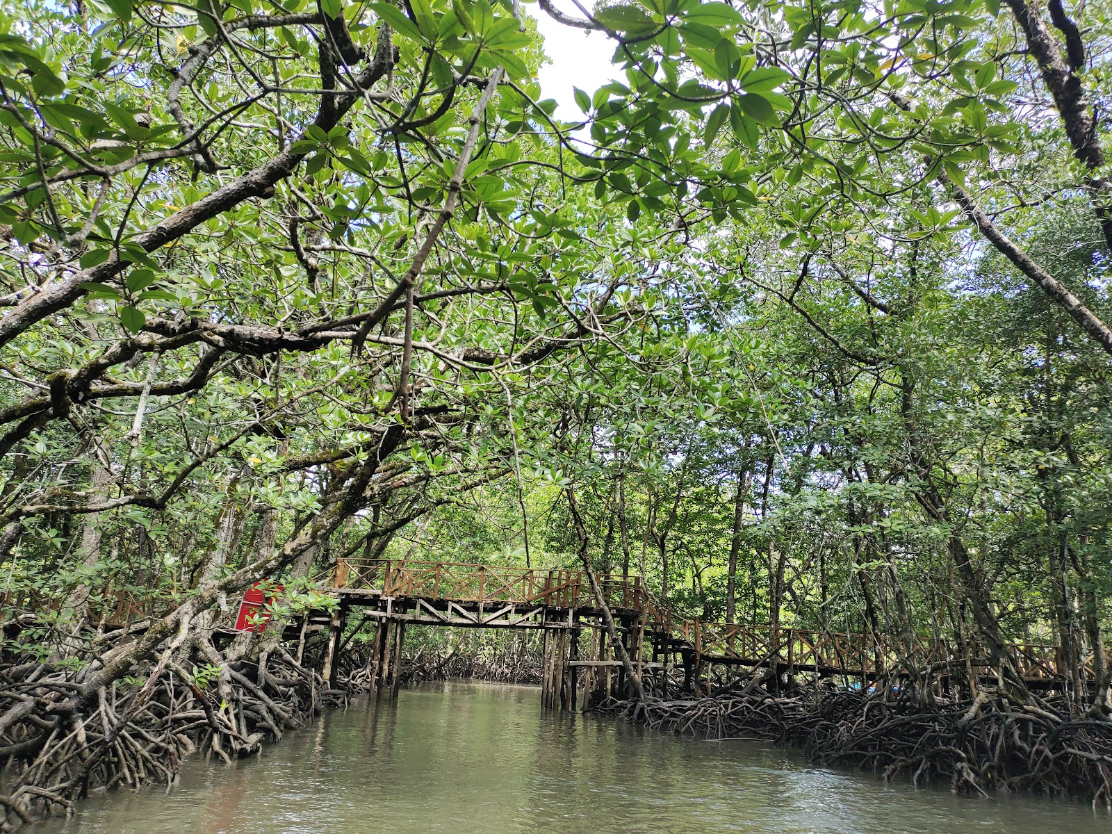 Baratang Island Limestone Caves