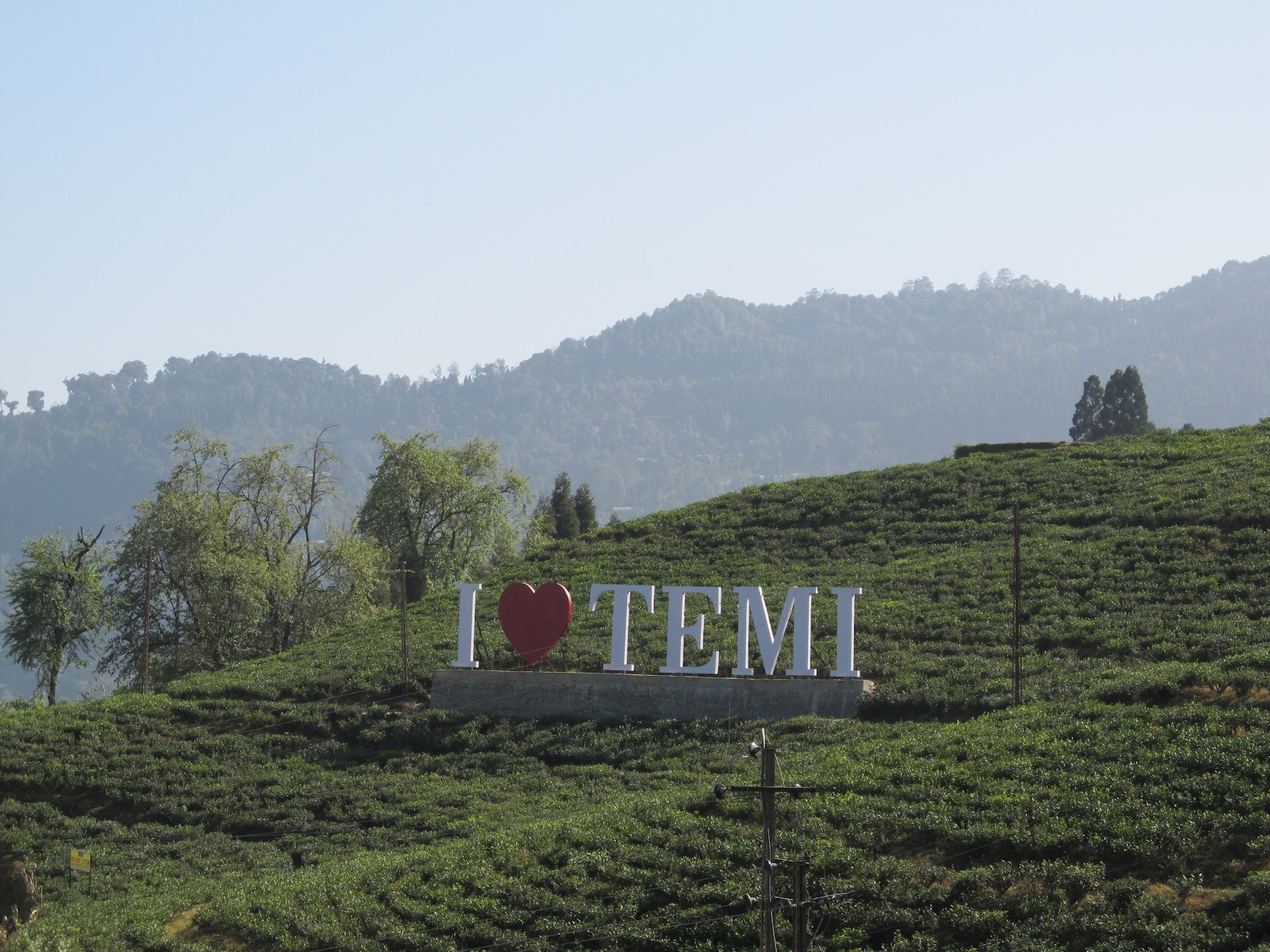 Temi Tea Garden