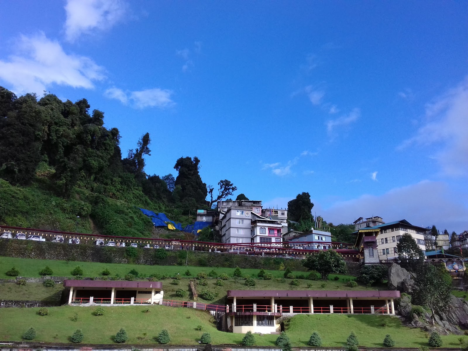 Temi Tea Garden