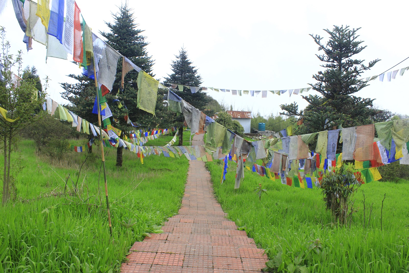 Tendong Hill