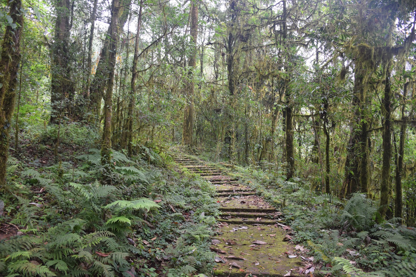 Tendong Hill