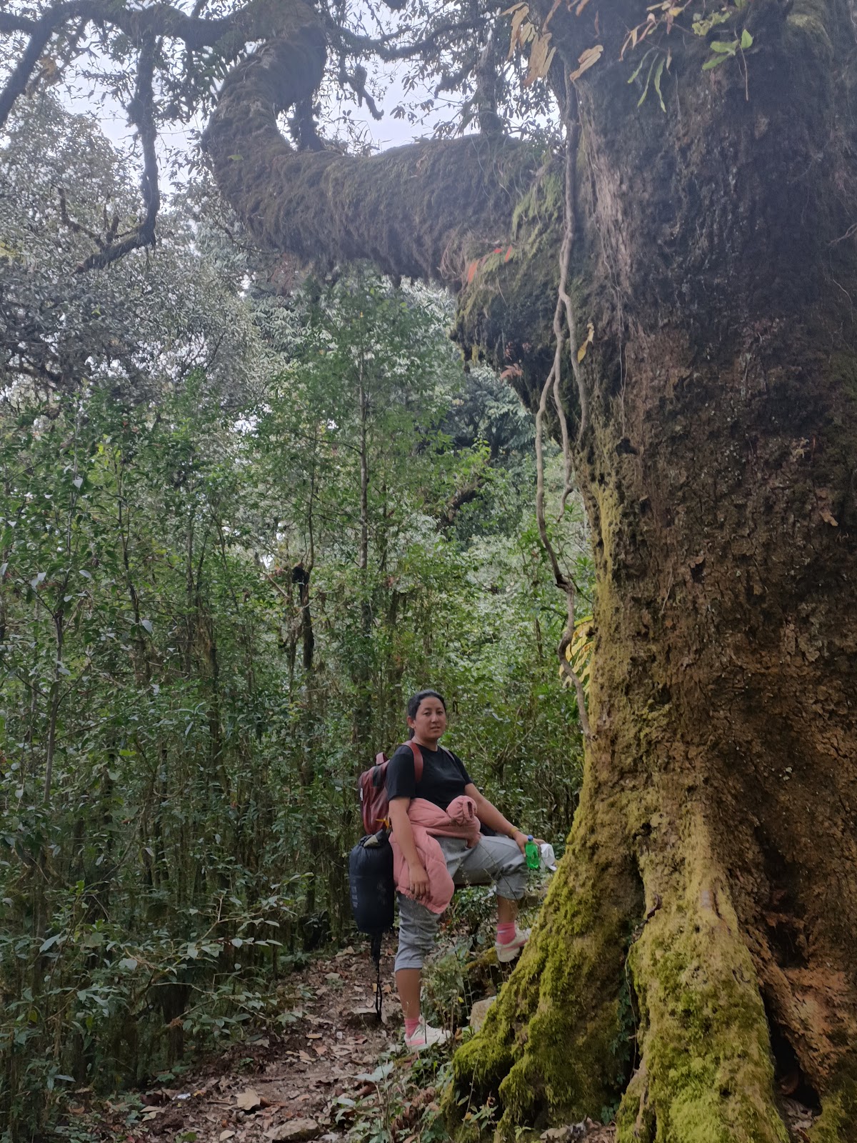 Tendong Hill