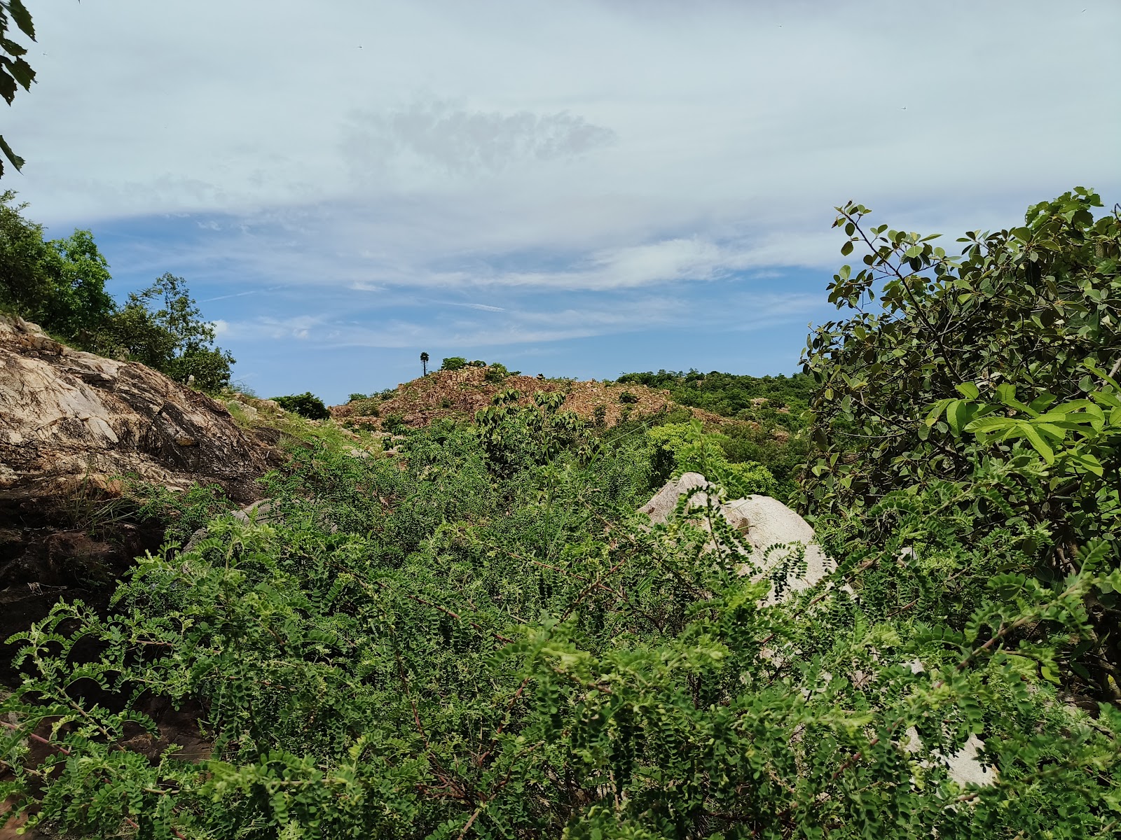 Sahasra Linga Temple
