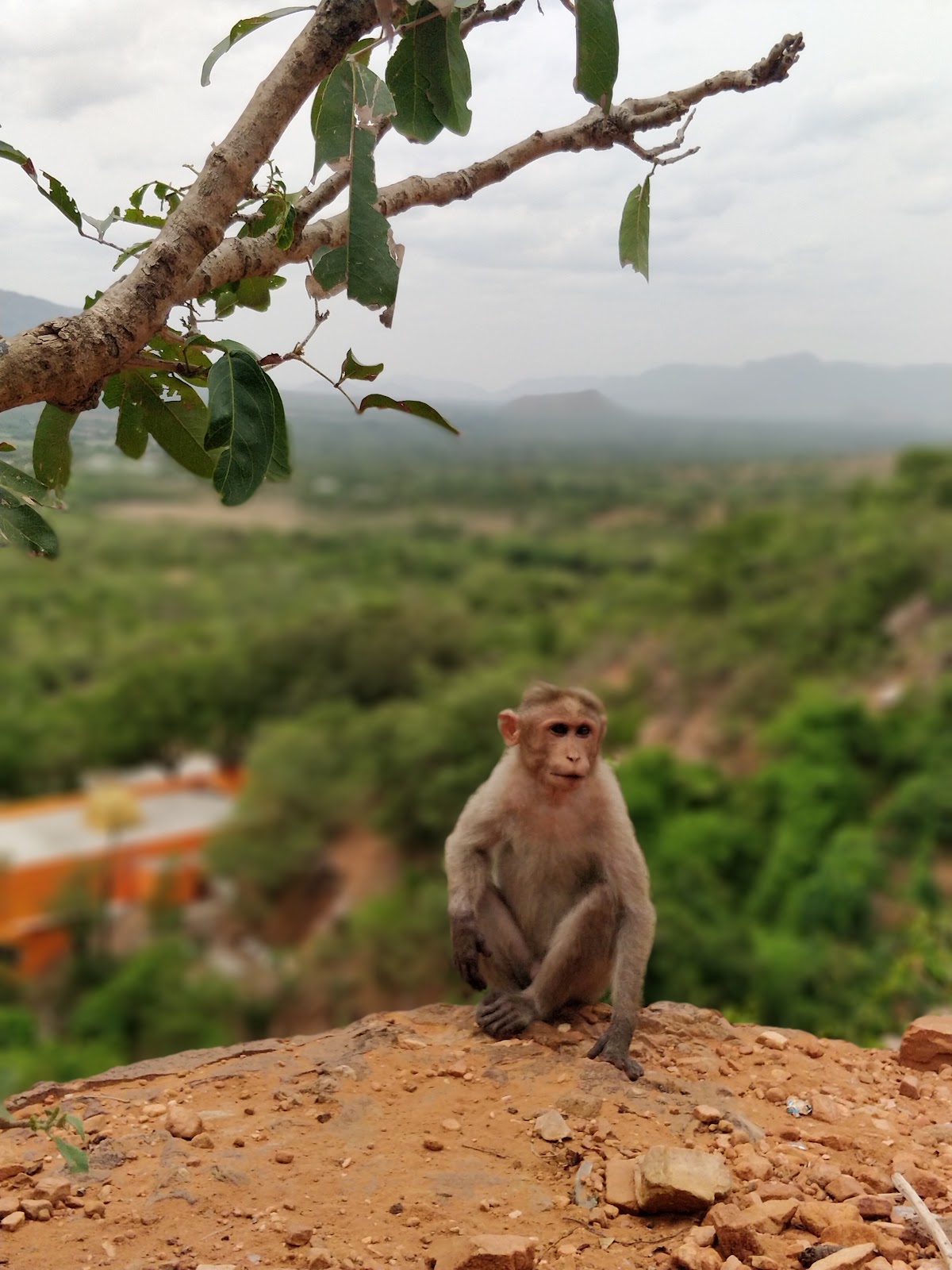 Veyilingala Kona Waterfall