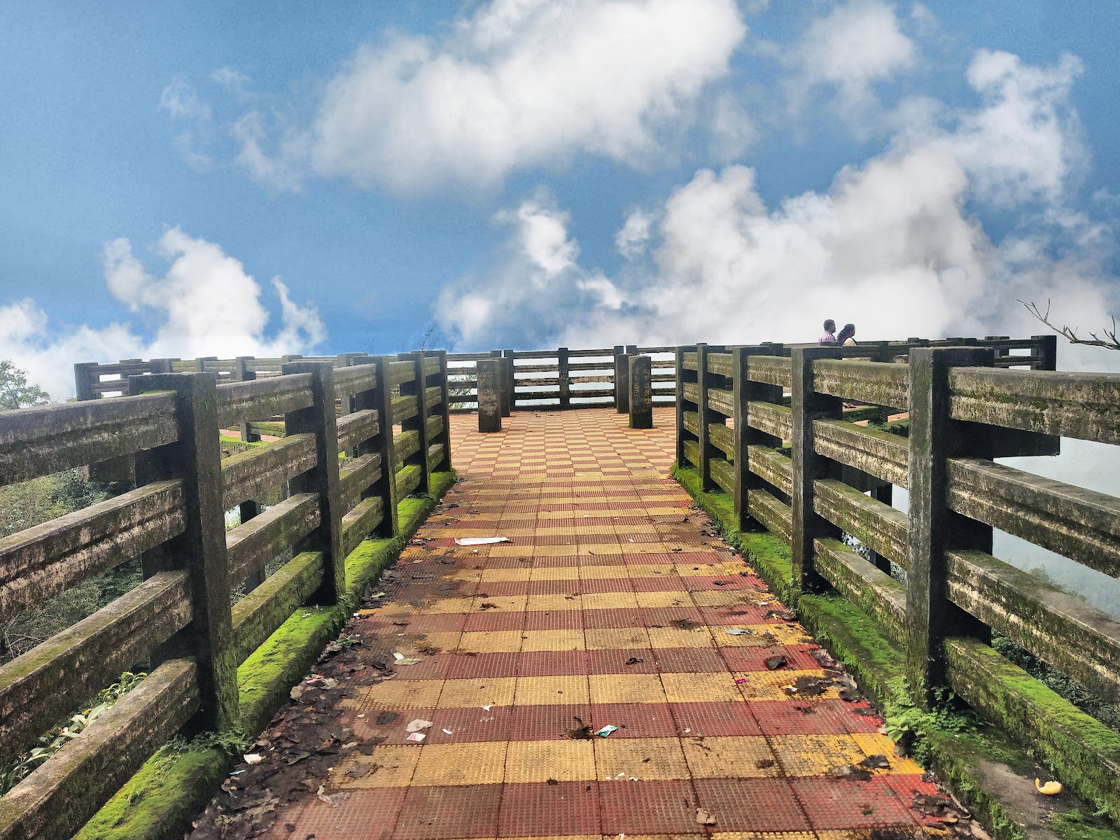 Agumbe Rainforest Research Station