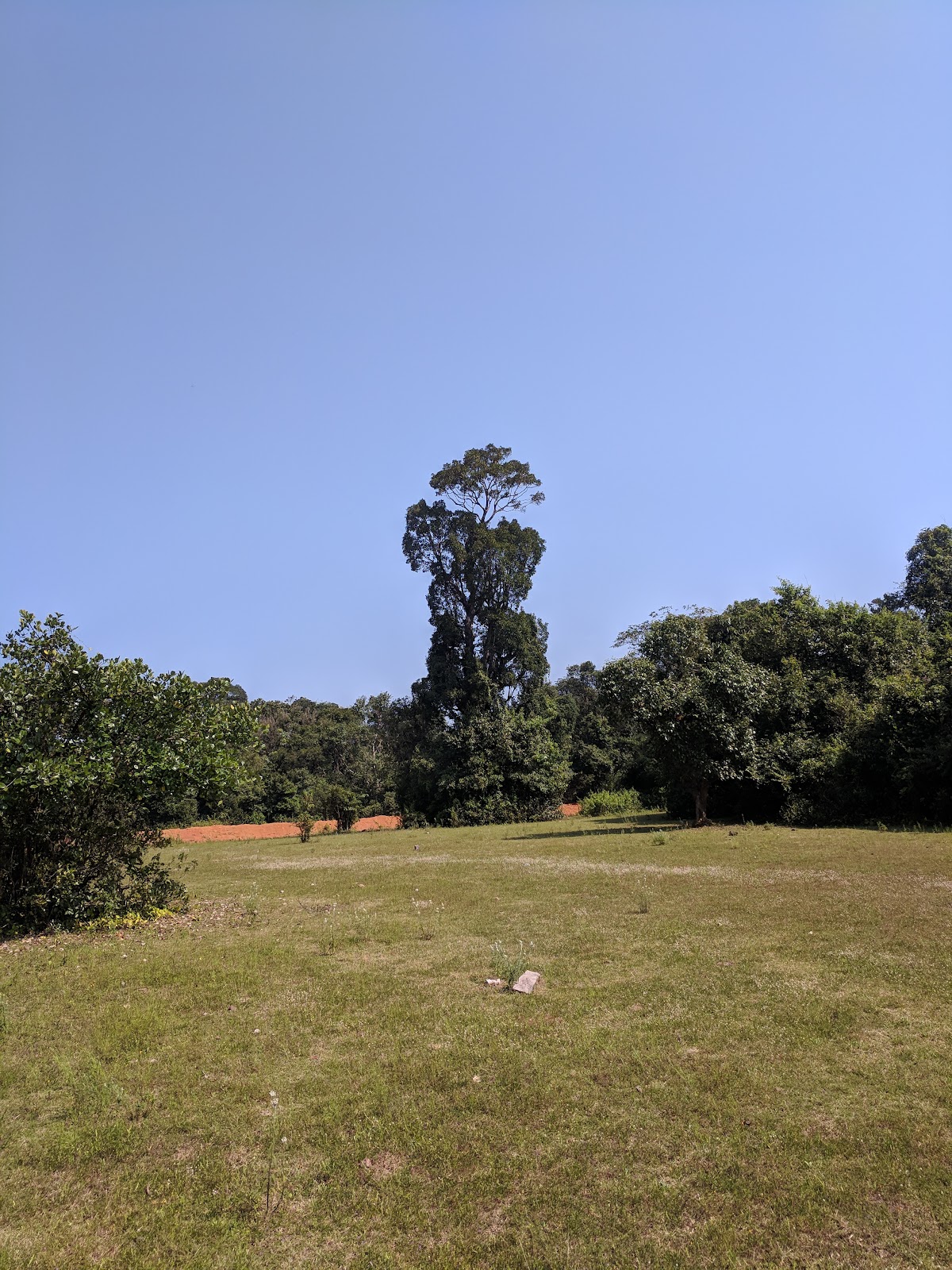 Agumbe Rainforest Research Station