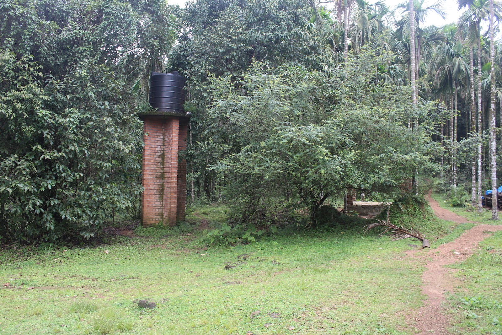 Agumbe Rainforest Research Station