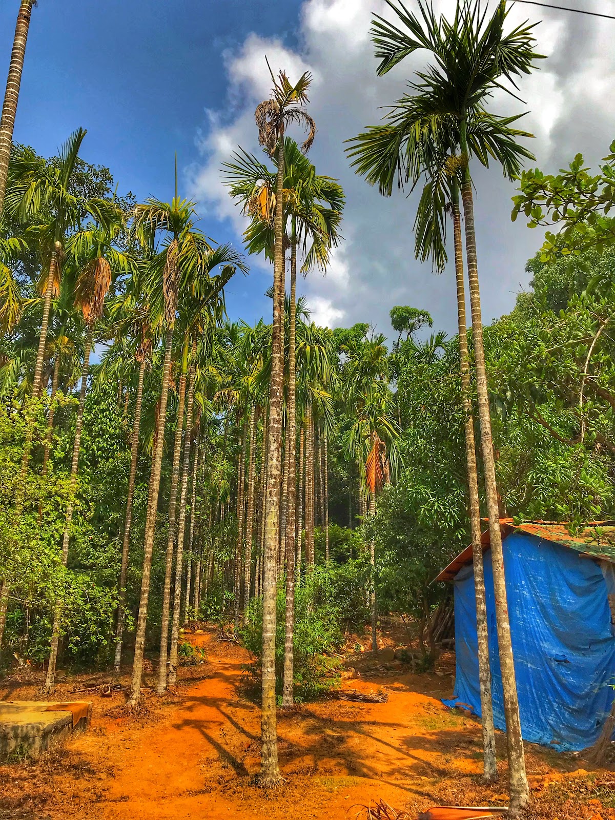Agumbe Rainforest Research Station