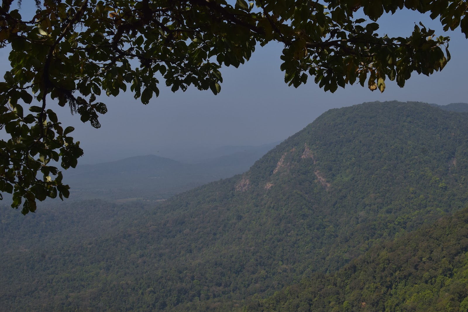 Agumbe Rainforest Research Station