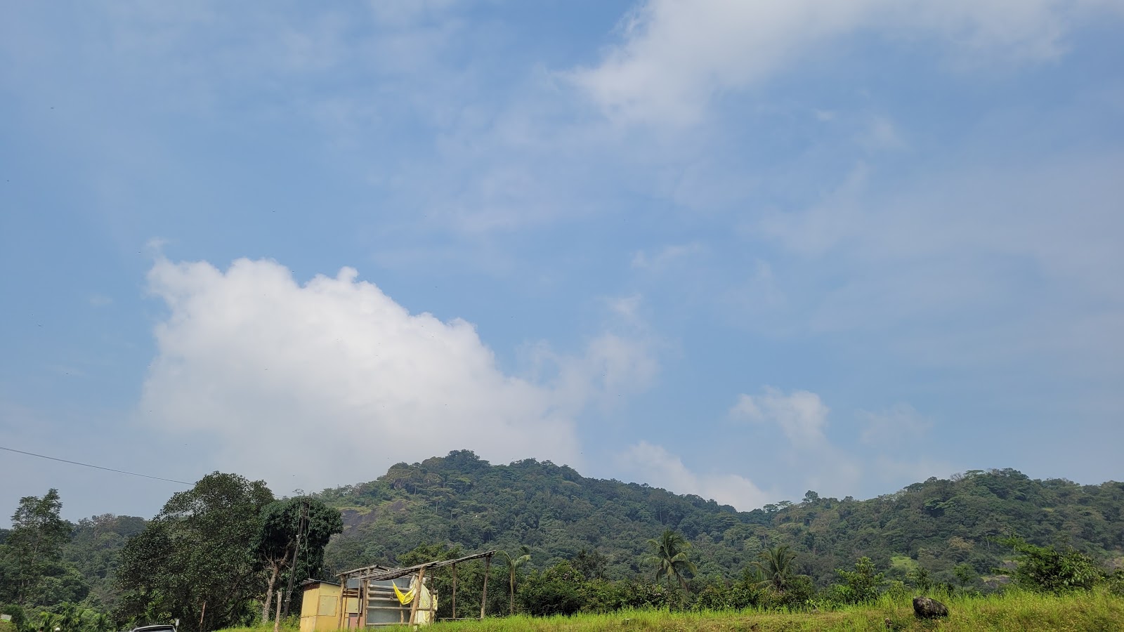 Agumbe Rainforest Research Station