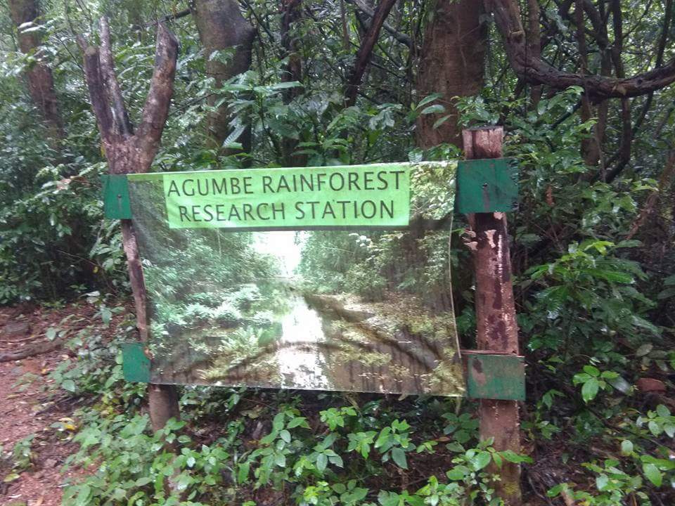 Agumbe Rainforest Research Station