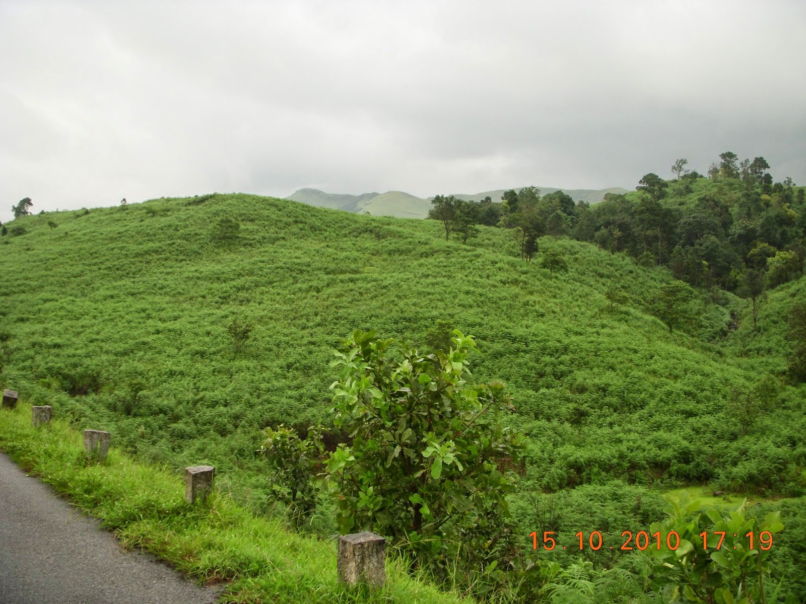 Kudremukh National Park