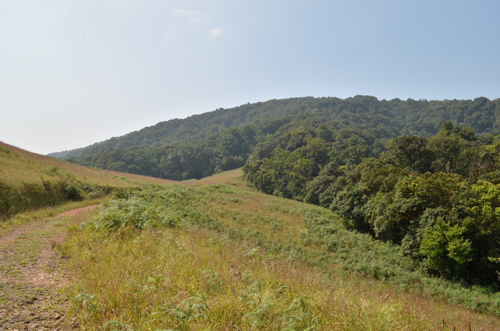 Kudremukh National Park