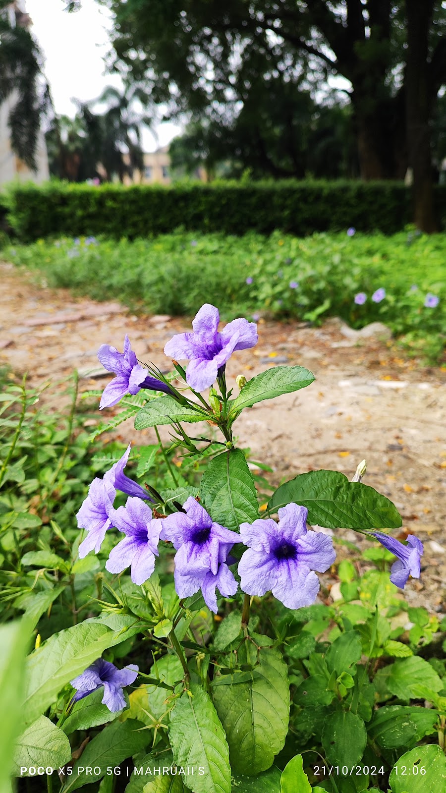 Serampore Mission Chapel