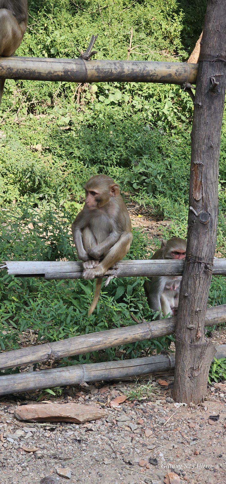 Srisailam Wildlife Sanctuary
