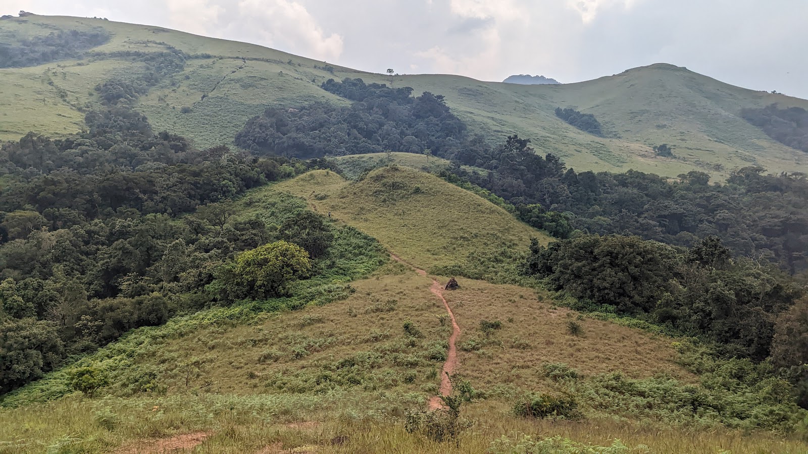 Mookambika Wildlife Sanctuary